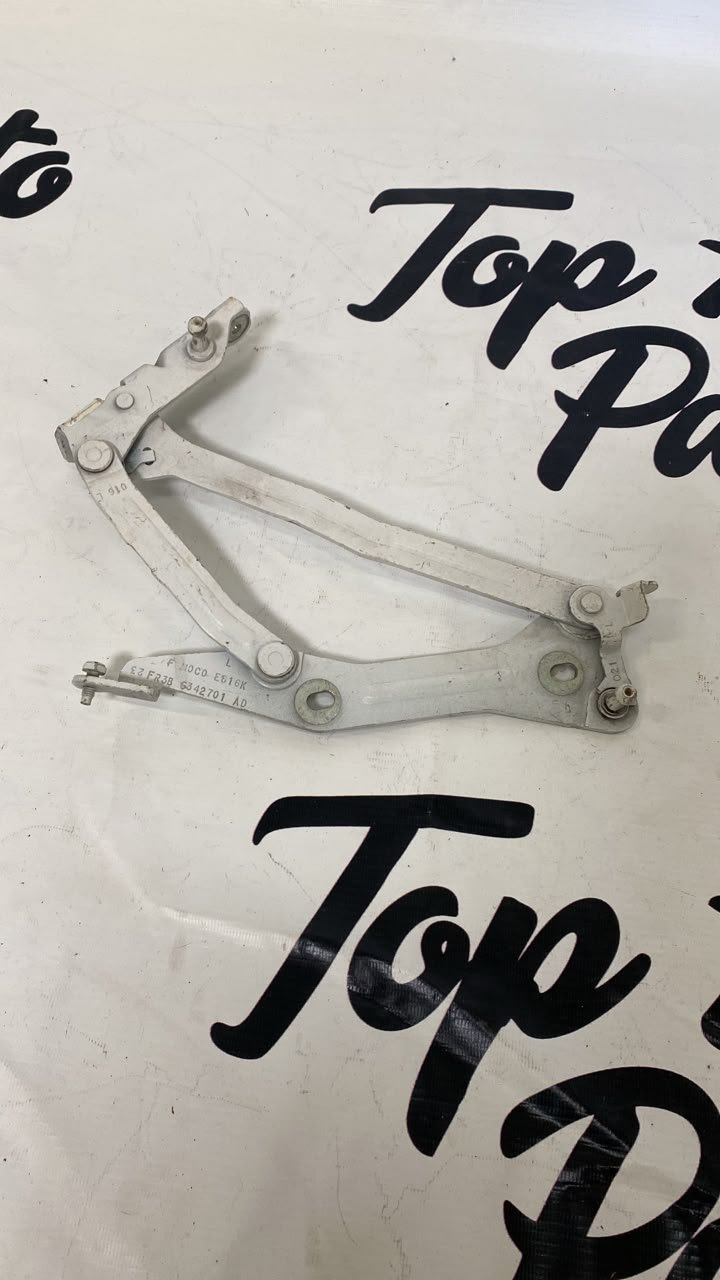 Петля крышки багажника Ford Mustang VI (S550) FR3B6342701AD